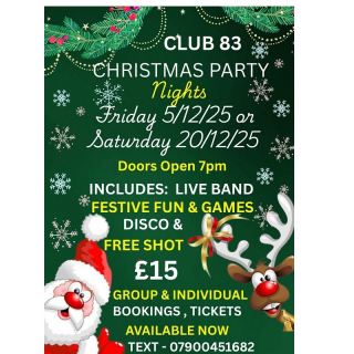Christmas Party Night Image