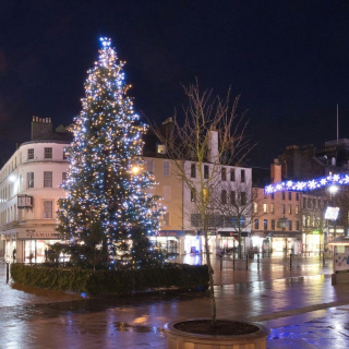 Christmas Lights Switch On Image