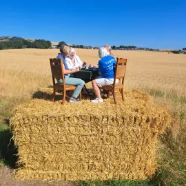 Bridge Lessons Image