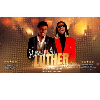 The Stevie and Luther Show Image
