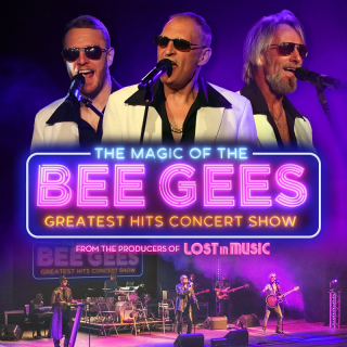 The Magic of the Bee Gees Image