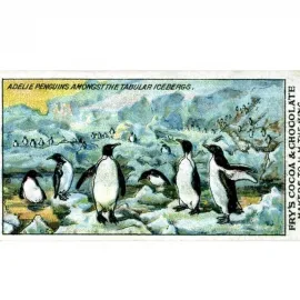 Tay Bridge Disaster, McGonagall, Captain Scott and Other Tales Image