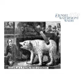 Whales, Monkeys, Dragons, Bears, Warrior Dogs, Ghost Ships and Green Men Image