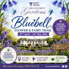 Bluebell - Flower and Fairy Trail Image