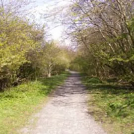 Broughty Ferry Local Nature Reserve image