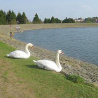 Clatto Country Park Image