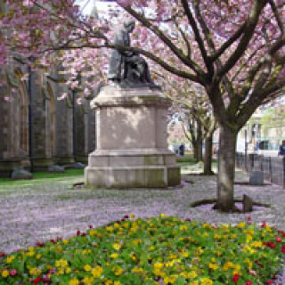 Albert Square image