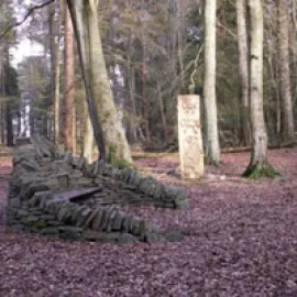 Templeton Woods  image