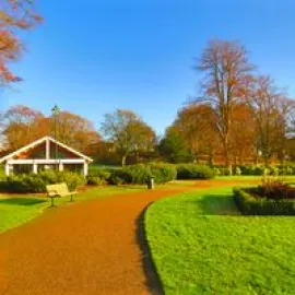 Baxter Park Image 