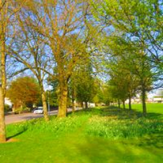 Fairmuir Park Image 