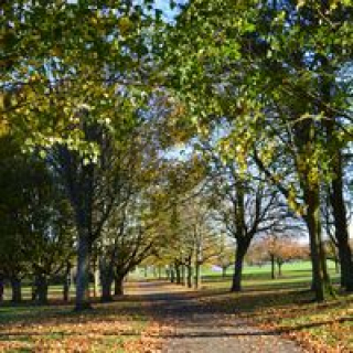 Dawson Park Image 