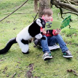   Active Tots - Wild and Play Image