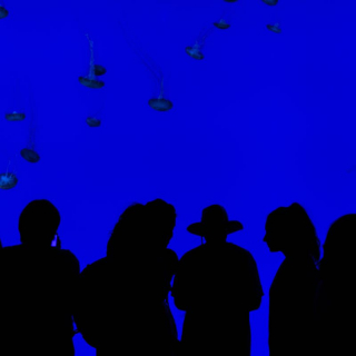 The Blue Room Image