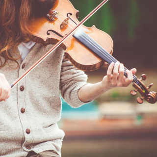 Concerts for a Summer’s Night Image