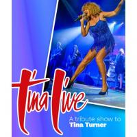 Tina Live - A tribute show to Tina Turner Image