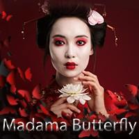 Madama Butterfly  Image