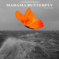 Madama Butterfly  Image
