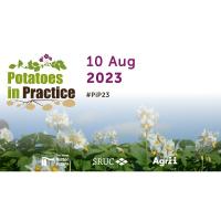 Potatoes in Practice 2023 - James Hutton Institute Image