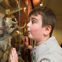 DArcy Thompson Zoology Museum Saturday Sessions Image