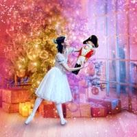 The Classical Ballet and Opera House - The Nutcracker Image