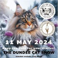 Nor East of Scotland Cat Show Image