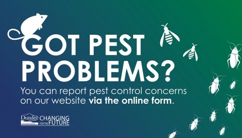 Do you need pest proofing or pest control treatment?
