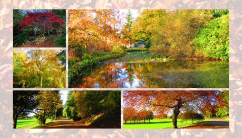 Parks and Open Spaces