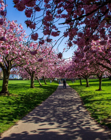 Dawson Park