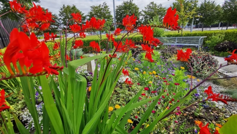 Slessor Gardens