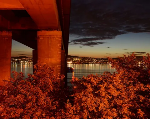Tay Bridge