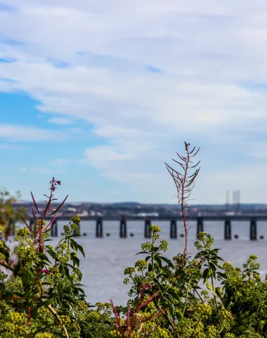 Tay Rail Bridge From Wormit