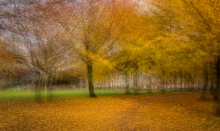 'Autumn Carpet - Magdalen Green' by Marion McMurdo (Dundee Corporation Trophy category)