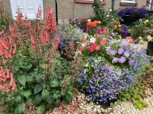 Residential front garden or entrance - Runners up