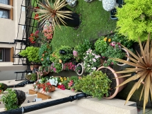 Residential front garden for council house tenants - Second place