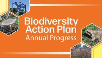 Further biodiversity progress in city set out Image
