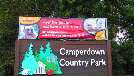 Camperdown Park arrangements for Doof in the Park Image Camperdown Park arrangements for Doof in the Park Image