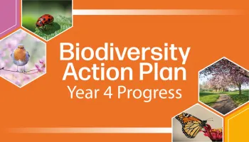 City biodiversity highlights Image