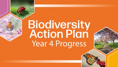 City biodiversity highlights Image City biodiversity highlights Image