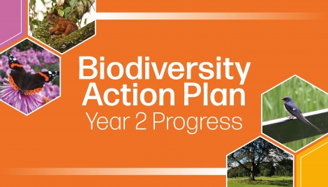 Progress on city's Biodiversity action Image