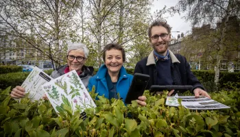 2024 City Nature Challenge Image