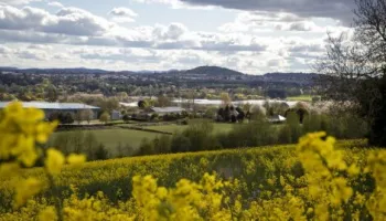 Overlooking Dundee Overlooking Dundee