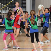 Summer Adult - Netball image Summer Adult - Netball image