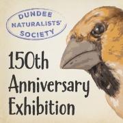 Dundee Naturalists Dundee Naturalists