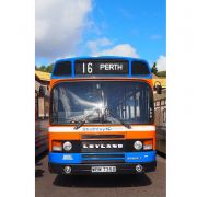 Dundee Bus Fest image Dundee Bus Fest image