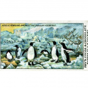 Tay Bridge Disaster, McGonagall, Captain Scott and Other Tales image